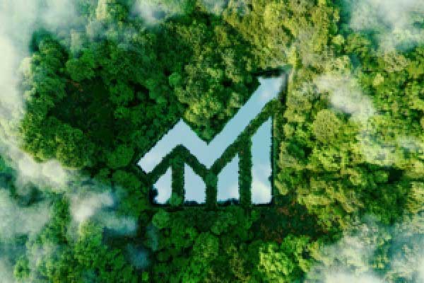 老凤祥高溢价收购遭监管问询 提示奢侈品业务不确定性风险